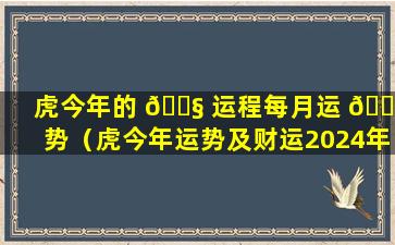 虎今年的 🐧 运程每月运 🐞 势（虎今年运势及财运2024年运程）